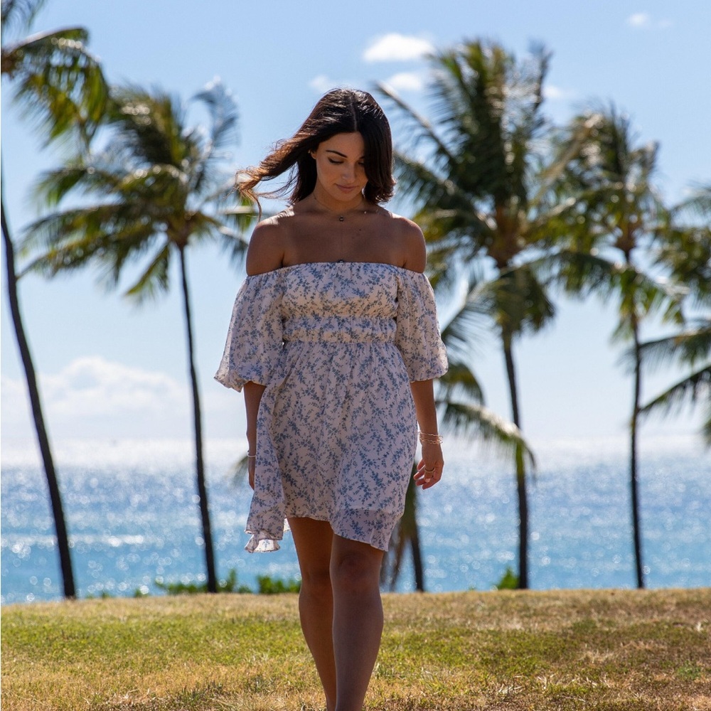 Sophia Dress Blue and White Floral